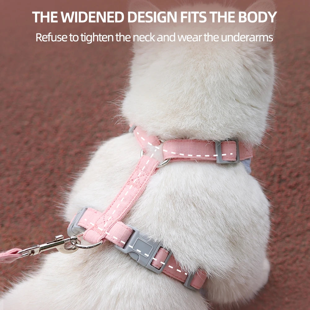Breathable Pet Harness Set 🐾