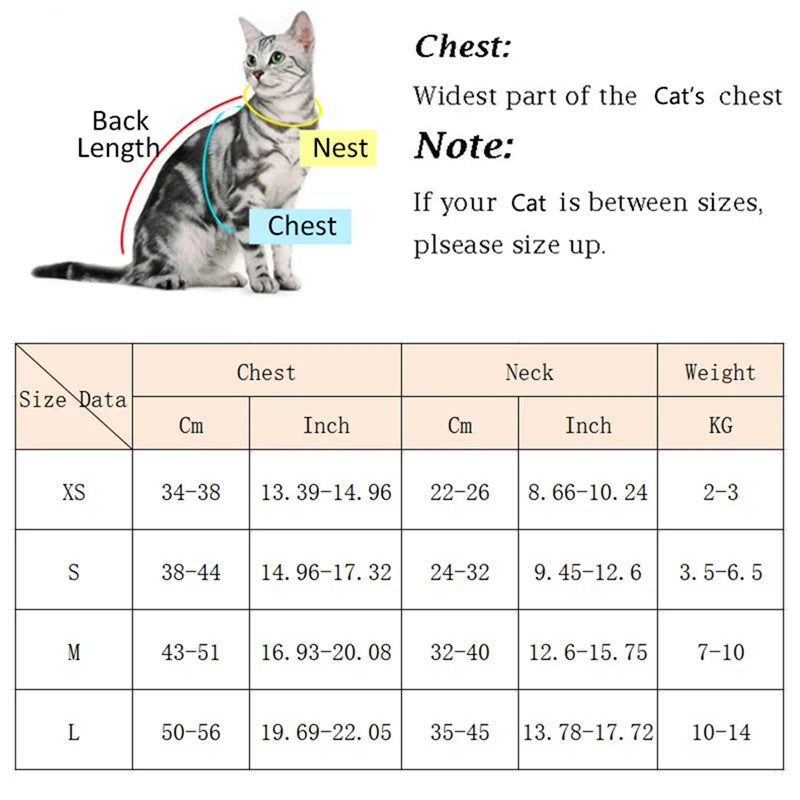 Breathable Pet Harness Set 🐾