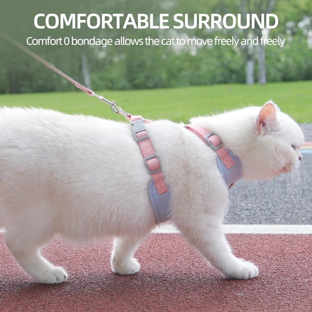 Breathable Pet Harness Set 🐾