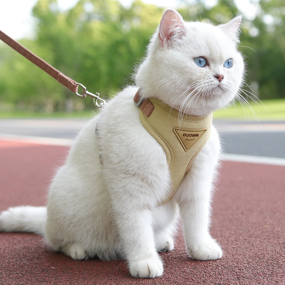 pets at home
ivc evidensia
liz bonnin
estapona
seattle
colchester zoo
twycross zoo
chester zoo